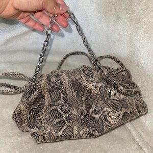 EXPRESS Snake Skin Purse/Clutch